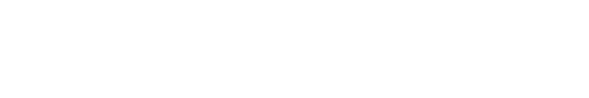 Nelson Town Bid